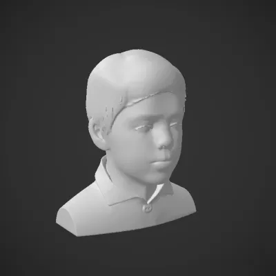 young person in a blue collared shirt. smooth edges, simple geometry, character, symmetric geometry.