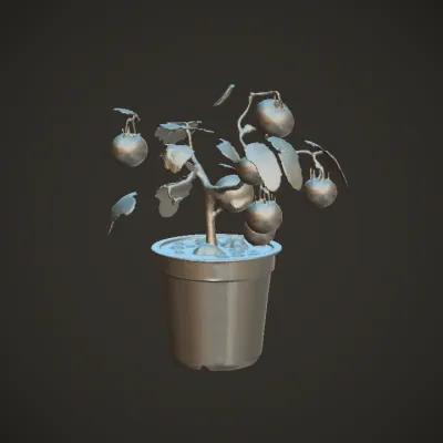 A potted tomato plant with ripe tomatoes. complex geometry, smooth edges.