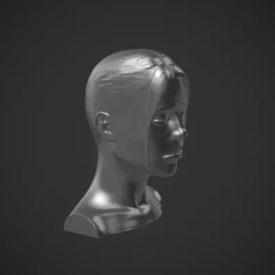 person from shoulders up. smooth edges, complex geometry, character, symmetric geometry.