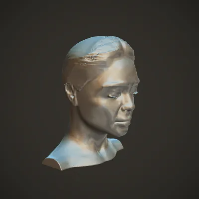 upper body of a woman. smooth edges, complex geometry, character, symmetric geometry.