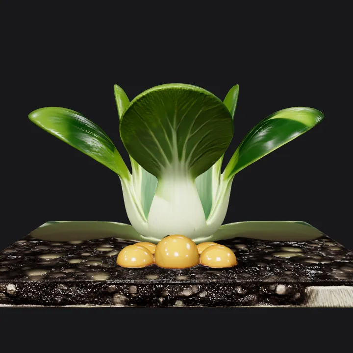 bok choy plant with mushrooms inset. smooth edges, simple geometry, symmetric geometry.