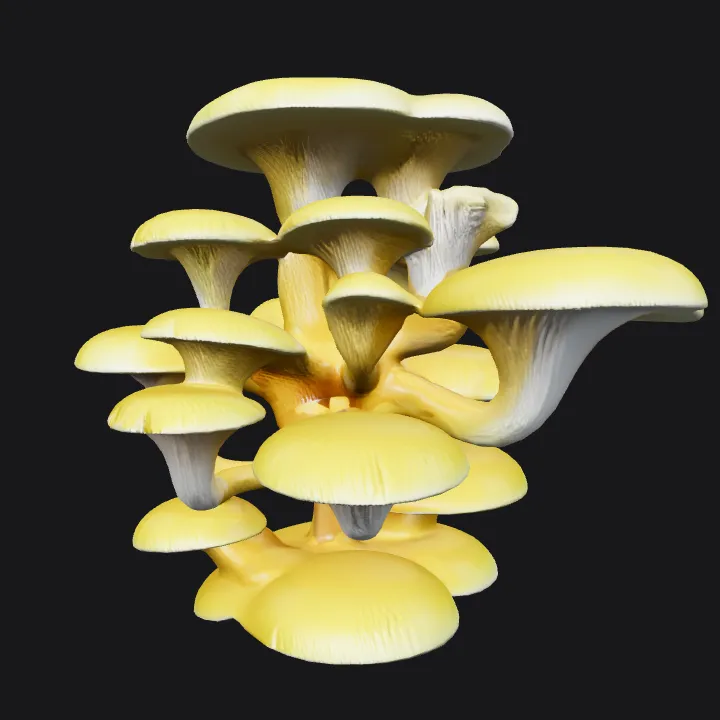 A cluster of yellow oyster mushrooms. smooth edges, complex geometry.