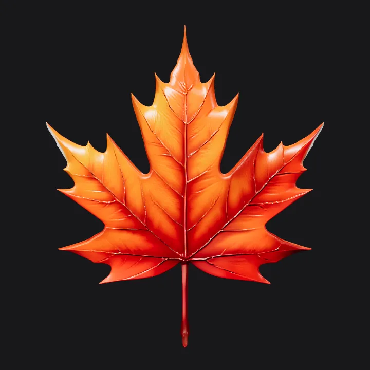 A red maple leaf. sharp edges, simple geometry, symmetric geometry.