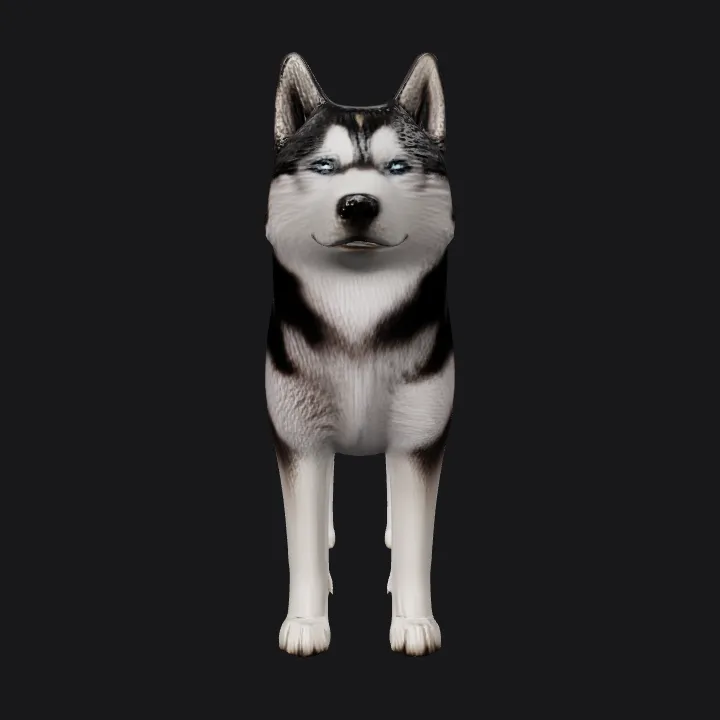 Realistic 3D Husky dog model. complex geometry, game-ready, smooth edges, character, symmetric geometry.