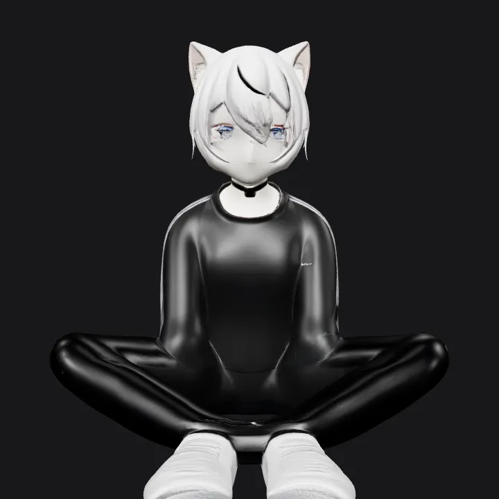 Person with cat ears and tail. smooth edges, complex geometry, character.