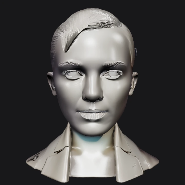 head and shoulders of a human figure. simple geometry, character, symmetric geometry.