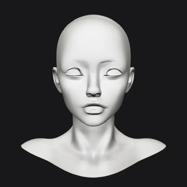 anatomical head and shoulders model. smooth edges, simple geometry, character, symmetric geometry.