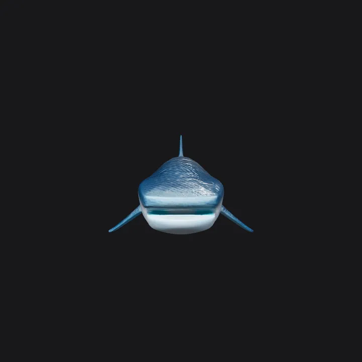 whale shark swimming. smooth edges, complex geometry, symmetric geometry.