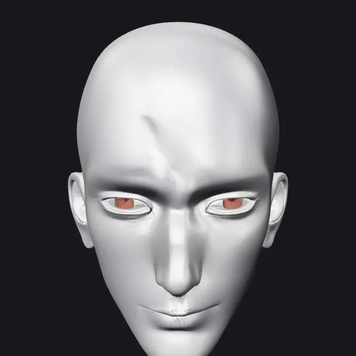 human head front view. smooth edges, simple geometry, character, symmetric geometry.