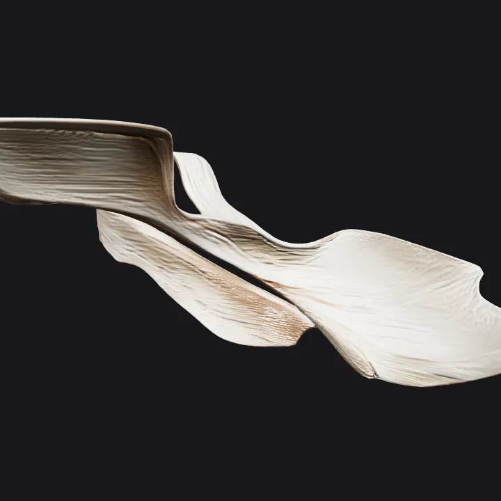 Abstract flowing sculptural wall art. smooth edges, complex geometry.