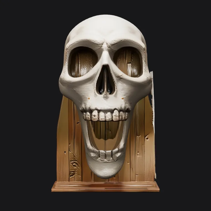 Wall-mounted skull art. smooth edges, simple geometry, symmetric geometry.