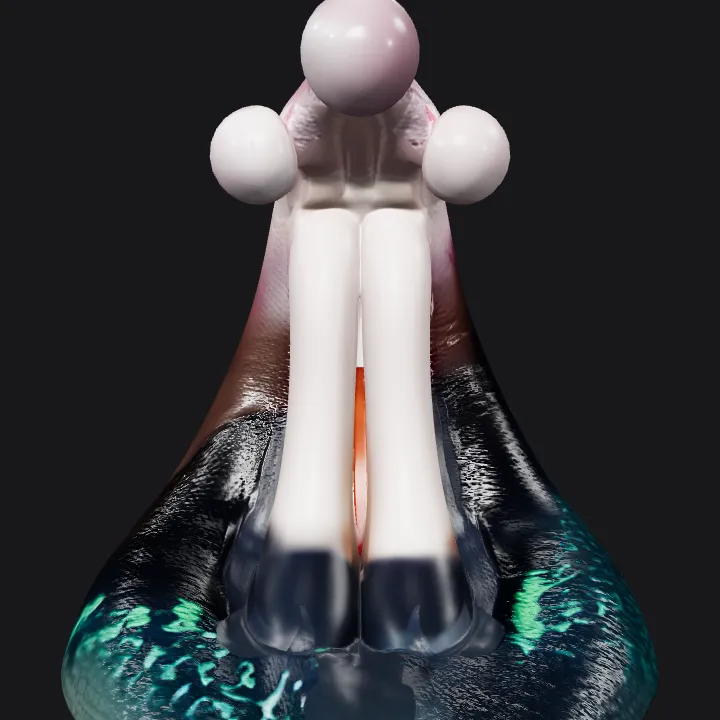 Human male genitalia. smooth edges, complex geometry, character.