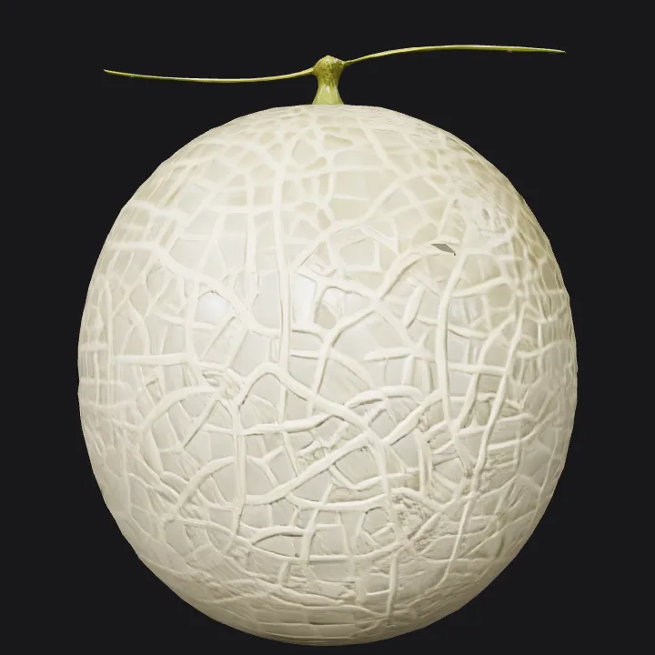 A single cantaloupe melon. smooth edges, simple geometry, symmetric geometry.