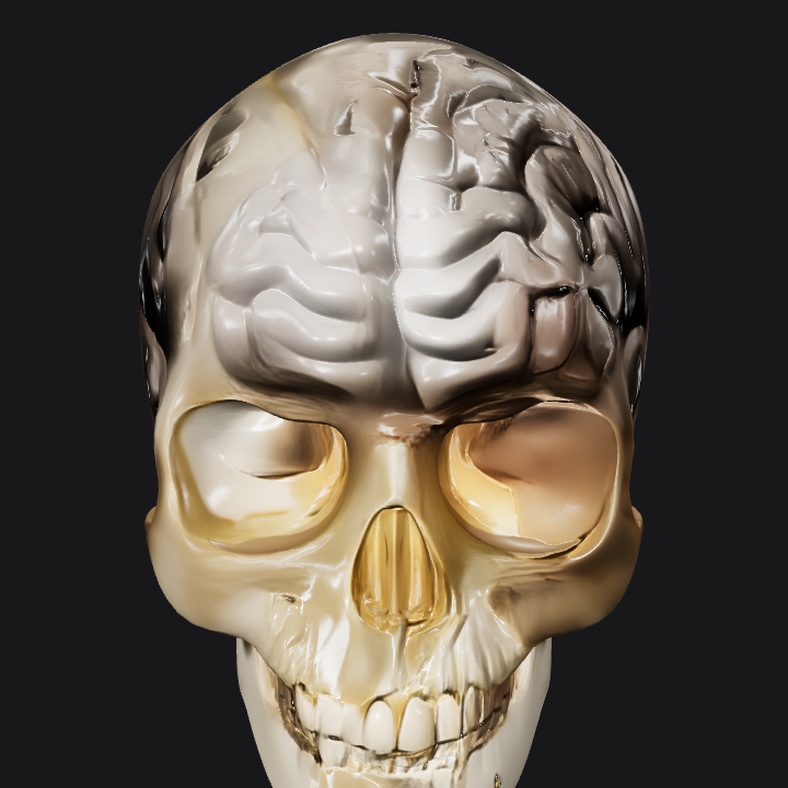 Transparent human skull with brain model. complex geometry, smooth edges, symmetric geometry.