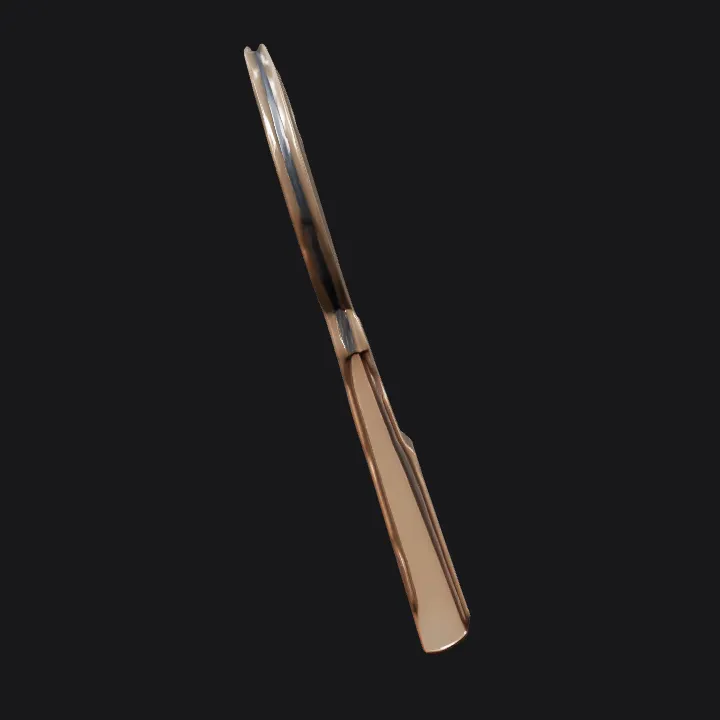 a metallic house key. sharp edges, simple geometry.