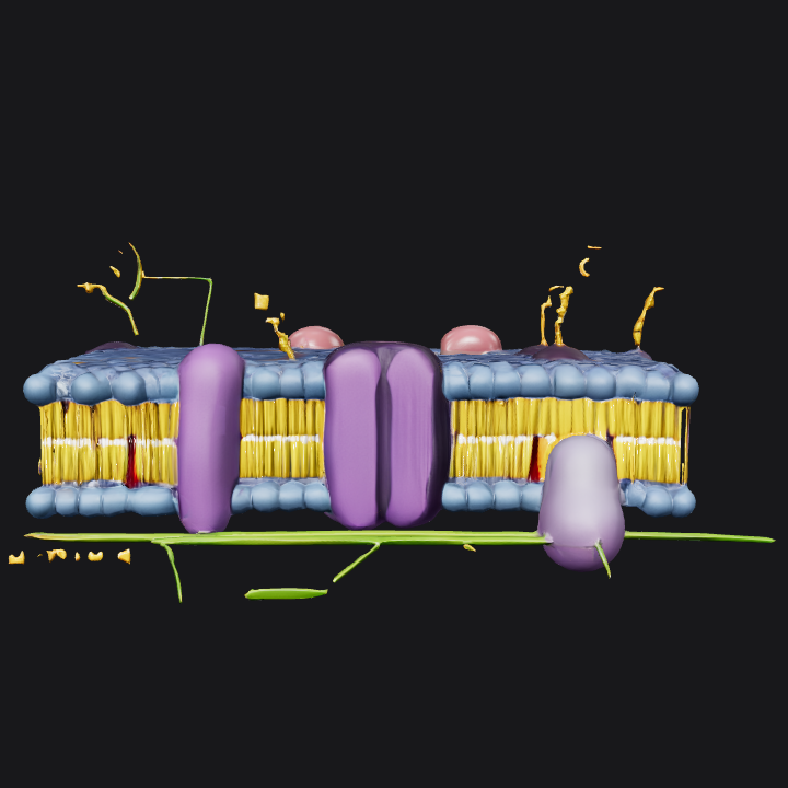 Cell membrane molecular structure illustration. complex geometry, smooth edges.