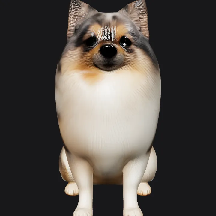 A fluffy Pomeranian dog sitting. smooth edges, complex geometry.